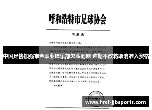 中国足协加强审查职业俱乐部欠薪问题 逾期不改将取消准入资格 中国足协加强审查职业俱乐部欠薪问题 逾期不改将取消准入资格